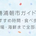 【完全版】勝浦朝市ガイド！おすすめ時間・食べ歩き・駐車場・海鮮まで全部まとめ！